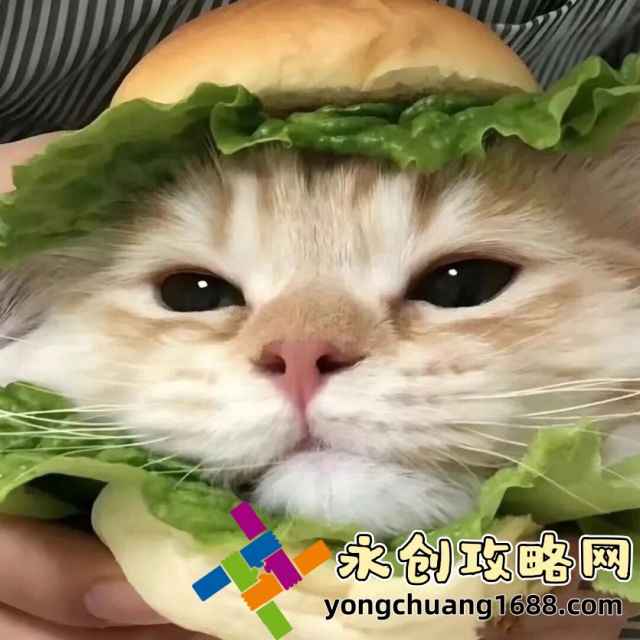 【揭秘】黑料網(wǎng) 
