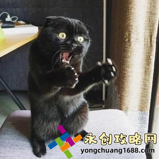 一個好媽媽的D4申字：揭秘現(xiàn)代育兒中的高效溝通密碼