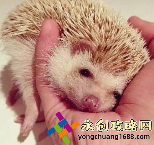 艷肉亂痕1一12章：這本小說的劇情為何引發(fā)如此大的討論與關(guān)注？